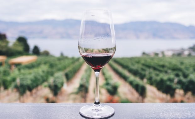 glass of wine at vineyard